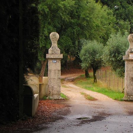 Willa Quinta Do Cerquito Ferreira do Zêzere Zewnętrze zdjęcie