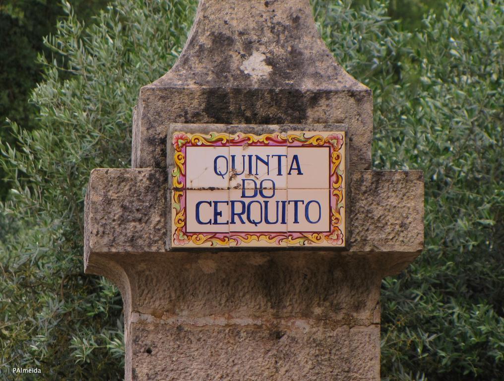 Willa Quinta Do Cerquito Ferreira do Zêzere Zewnętrze zdjęcie