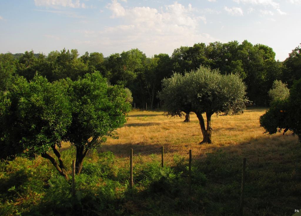 Willa Quinta Do Cerquito Ferreira do Zêzere Zewnętrze zdjęcie