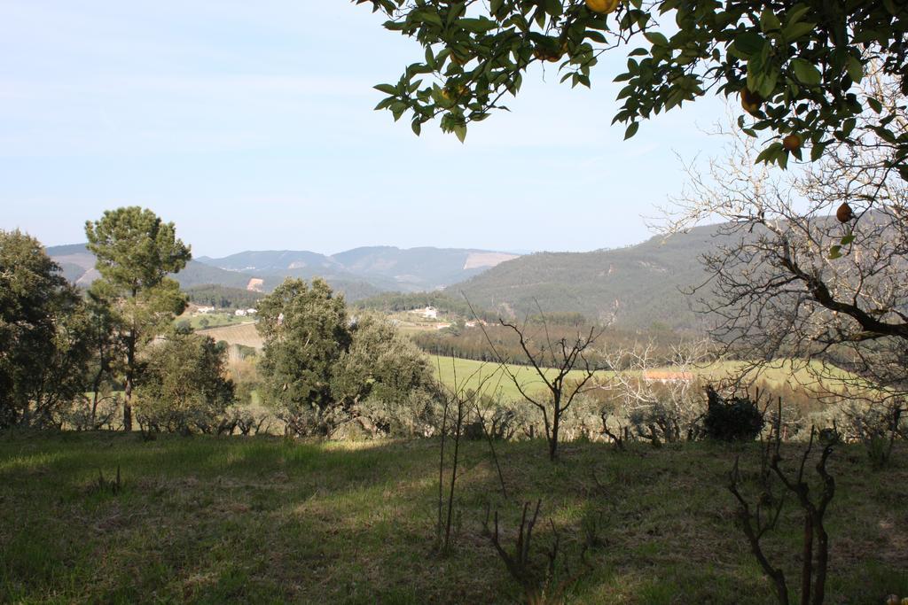Willa Quinta Do Cerquito Ferreira do Zêzere Zewnętrze zdjęcie