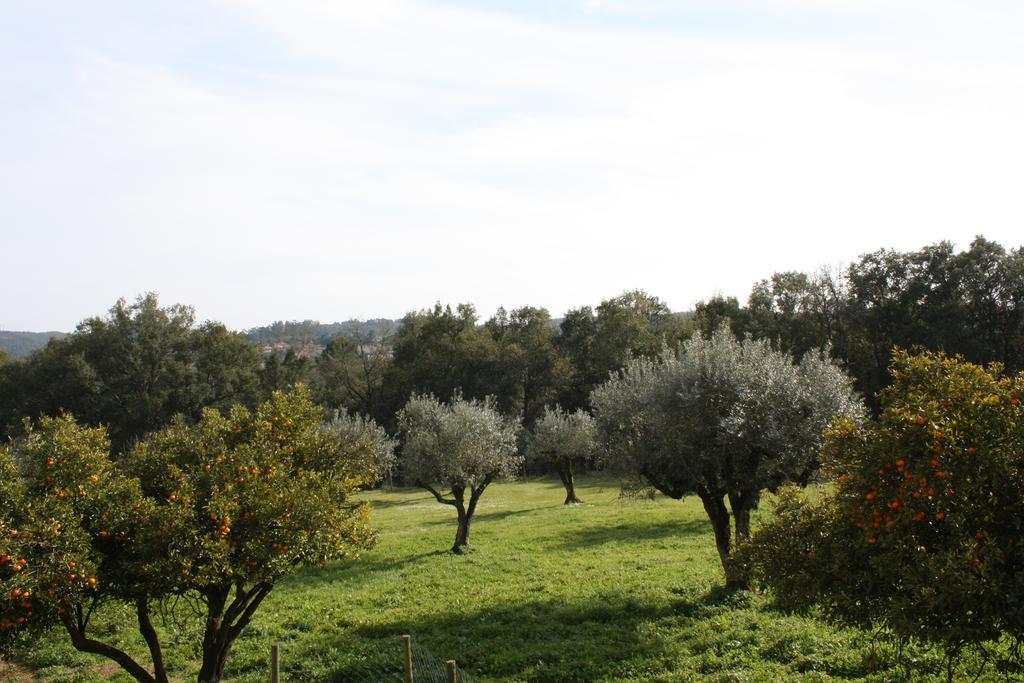 Willa Quinta Do Cerquito Ferreira do Zêzere Zewnętrze zdjęcie