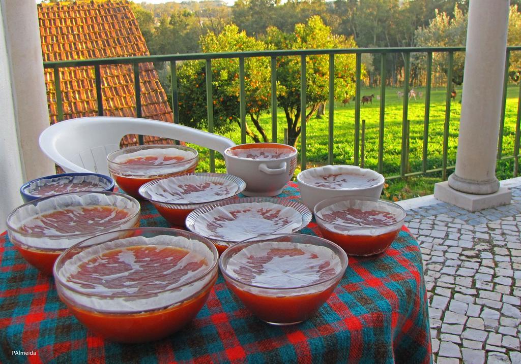 Willa Quinta Do Cerquito Ferreira do Zêzere Zewnętrze zdjęcie