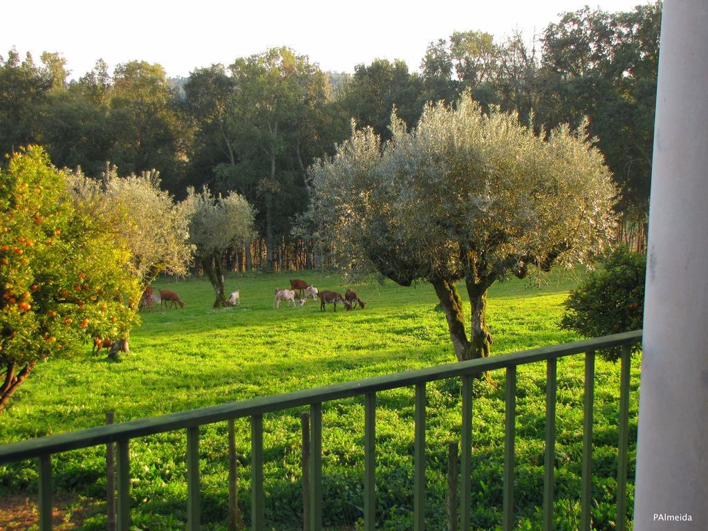 Willa Quinta Do Cerquito Ferreira do Zêzere Zewnętrze zdjęcie